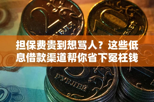 济南担保费贵到想骂人？这些低息借款渠道帮你省下冤枉钱