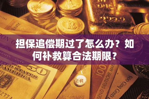 济南担保追偿期过了怎么办？如何补救算合法期限？