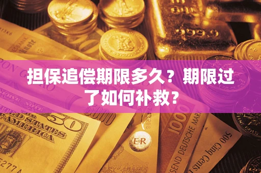 济南担保追偿期限多久？期限过了如何补救？