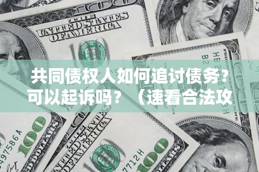 济南共同债权人如何追讨债务？可以起诉吗？（速看合法攻略）