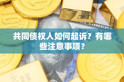 济南共同债权人如何起诉？有哪些注意事项？